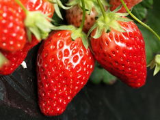 1492737885368567.jpg 20150820150326-56943089887499808.jpg